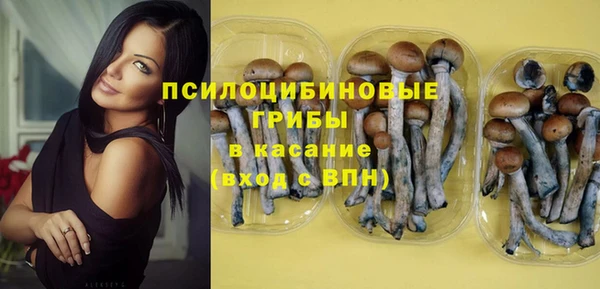 амфетамин Алексин
