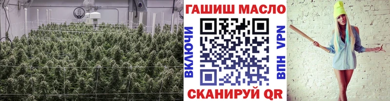 где купить наркотик  мега   ТГК гашишное масло  Динская 
