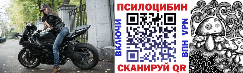 Галлюциногенные грибы Psilocybine cubensis  сколько стоит  Динская 